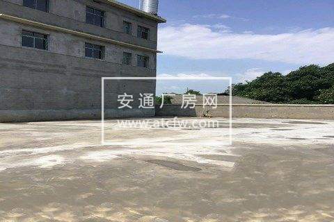 长沙县黄兴镇鹿芝岭村上泉坡塘组1400方厂房出租