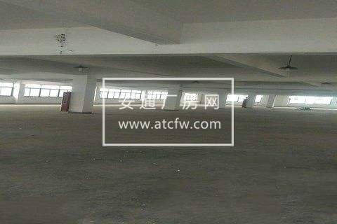 萧山区12000方厂房出租