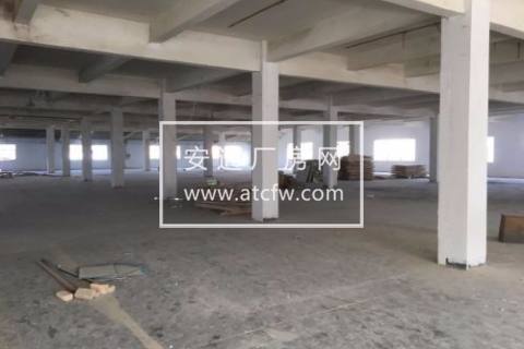 临江街道3000方厂房出租