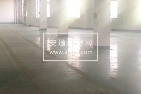 余杭区新泰工业区2700方厂房出租