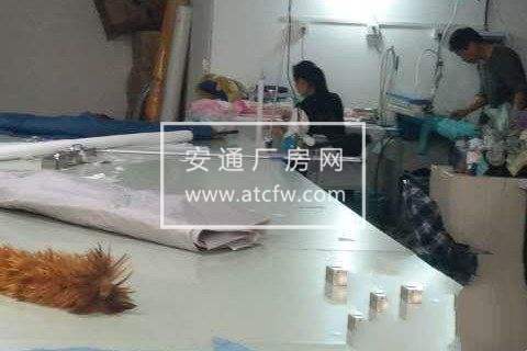 江干区三堡杭海路互联网产业大厦220方厂房出租