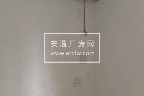 西湖区双浦镇灵山村150方厂房出租