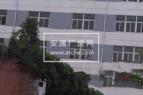 江宁汤山工业园2550方厂房出租