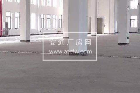 萧山区新塘1500方厂房出租