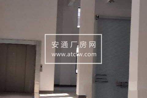 萧山区新塘1500方厂房出租