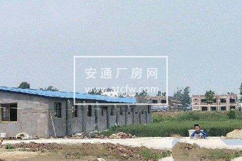 响水县小尖镇人民政府6000方土地出租