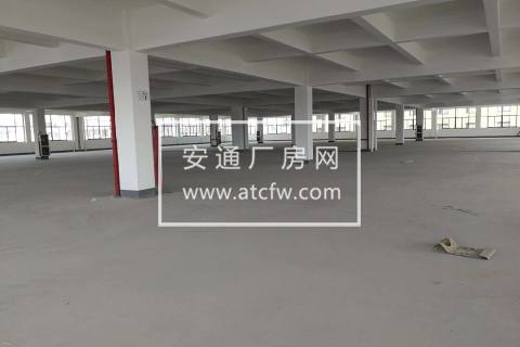 出租标准厂房楼上1866方