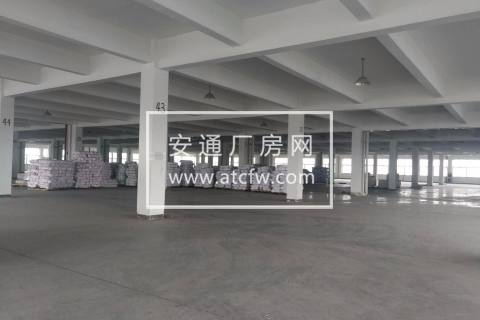 萧山义蓬八柯线北20000方厂房出租