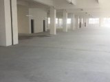 萧山新塘4000方厂房出租