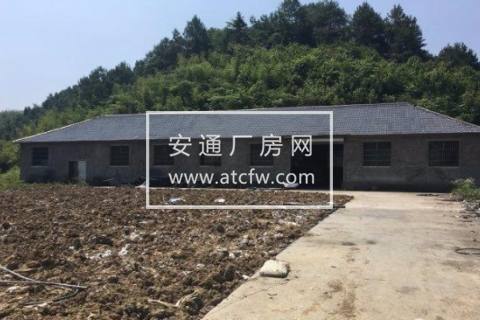 临安市横塘皋村400方厂房出租