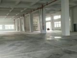 坦洲区乐怡路第一工业区1100方厂房出租