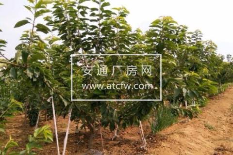 牟平区2000方土地出售