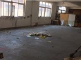 余杭区五常工业区后山路200方厂房出租