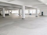 滨江区楚天路88号12000方厂房出租