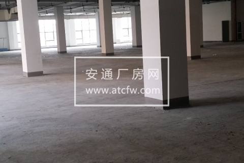 东西大道旁仁和标准厂房出租