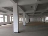 出租余杭区中泰1300方厂房