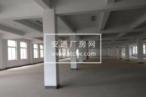 出租余杭区中泰1300方厂房