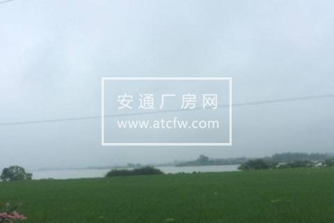 荆州区李埠40000方土地出租