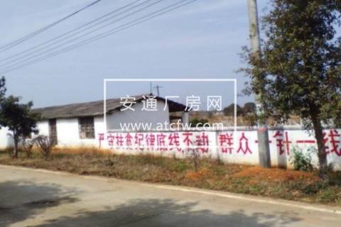 吉安县区横江葡萄基地 10000方土地出租