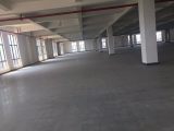 星桥800方厂房招租