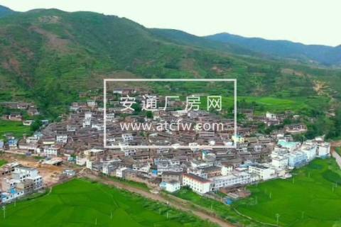 土地出售 姚安区 556方