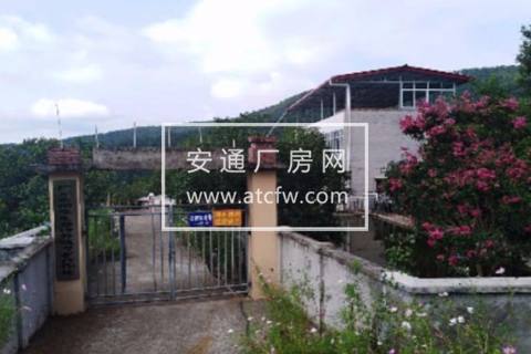 出售利州区龙潭乡20000方土地