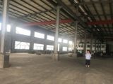 岳塘区双马工业园15000方厂房出售