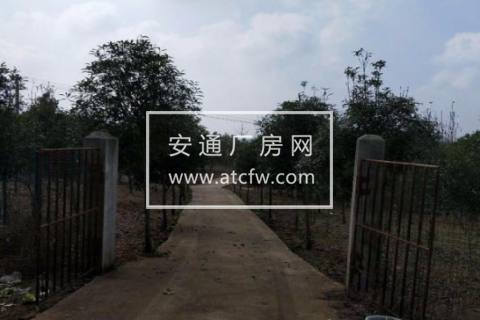 梁子湖区官田村99999方厂房出售