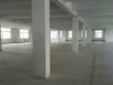江干区栋梁路2200方厂房出租