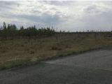 乌鲁木齐周边区南山水西沟和板房沟三叉路7992方土地出售