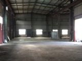 富阳区鹿山街道蒋家村1300方厂房出租