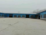 徐州周边丰县孙楼芦笋市场附近1600方厂房出租