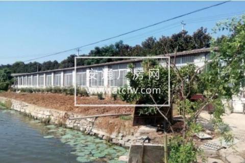 鄂州周边黄石花湖胄山960方厂房出租