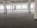 出租大江东上下2层7000方