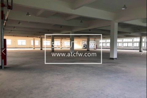 余杭区临安 12500 方 独幢厂房出租