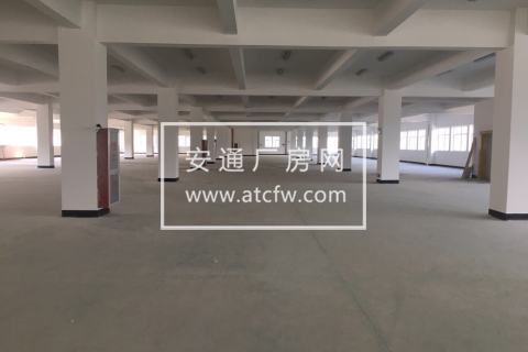 仁和工业区标准一幢7600方厂房出租