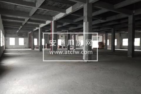 靖江标准厂房10000方适合做云仓电商