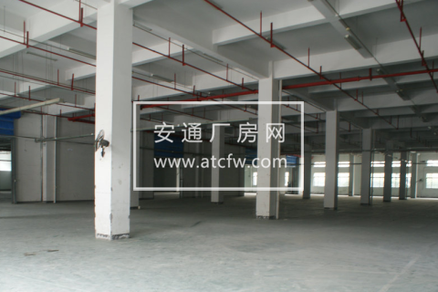 萧山桥南开发区3600方一楼厂房出租