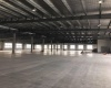 出租塘栖3000方单层厂房