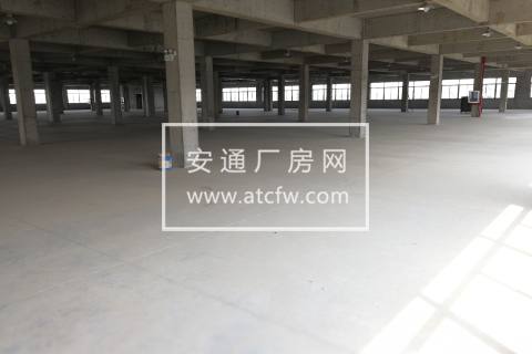 新湾街道楼上8000方出租