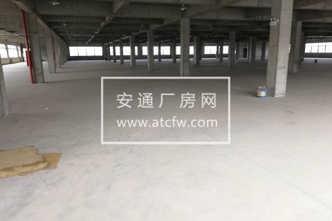 新湾街道楼上8000方出租