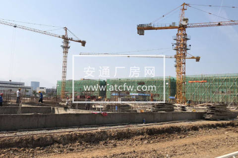 阿尔法智能制造产业园招商，全新独栋厂房，优价出售