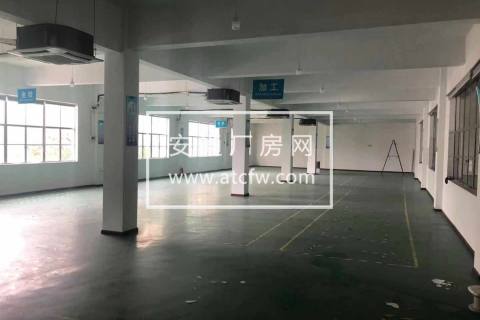 临平800方左右可以做电商仓库厂房