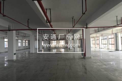 标准厂房1000方配消防喷淋厂房出租