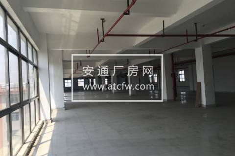 标准厂房1000方配消防喷淋厂房出租