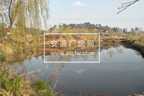 楚雄市30亩土地出租