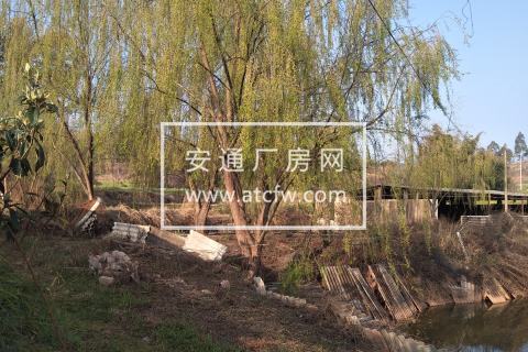 楚雄市30亩土地出租