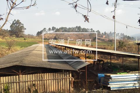 楚雄市30亩土地出租