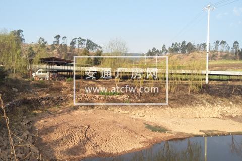 楚雄市30亩土地出租