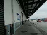 青白江区城厢站线下库1库10000方仓库出租